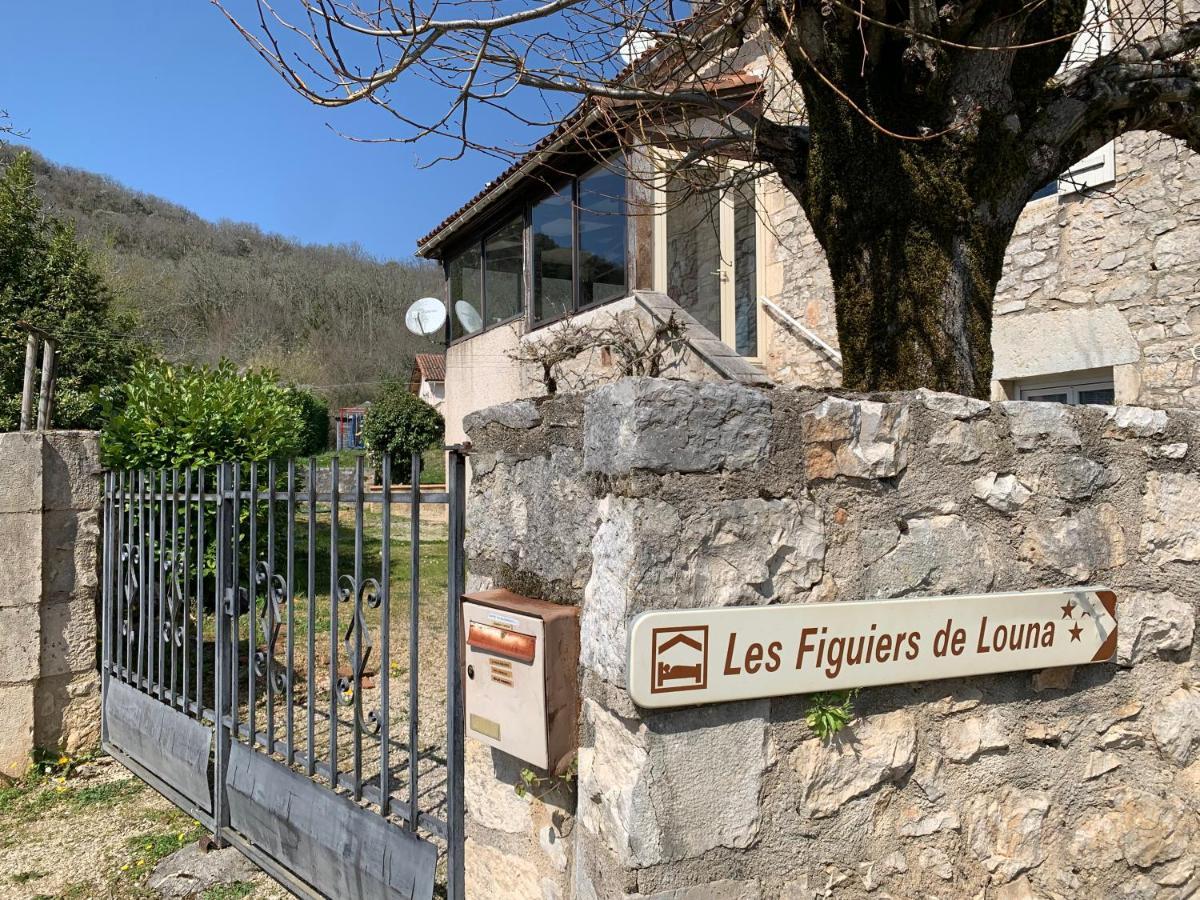 Les Figuiers De Louna - Pierre Ensoleillee - 110 M2 Et Une Veranda Saint-Géry Eksteriør billede